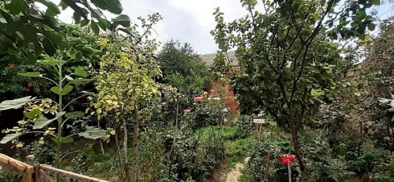 Satılır 4 otaqlı həyət evi 120 m²