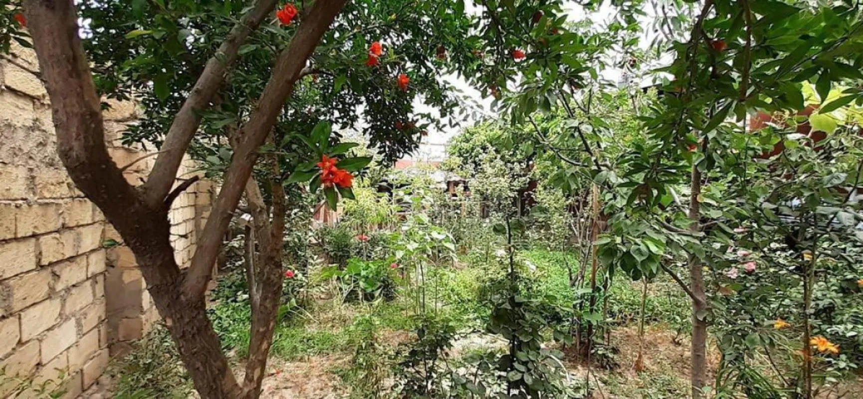 Satılır 4 otaqlı həyət evi 120 m²