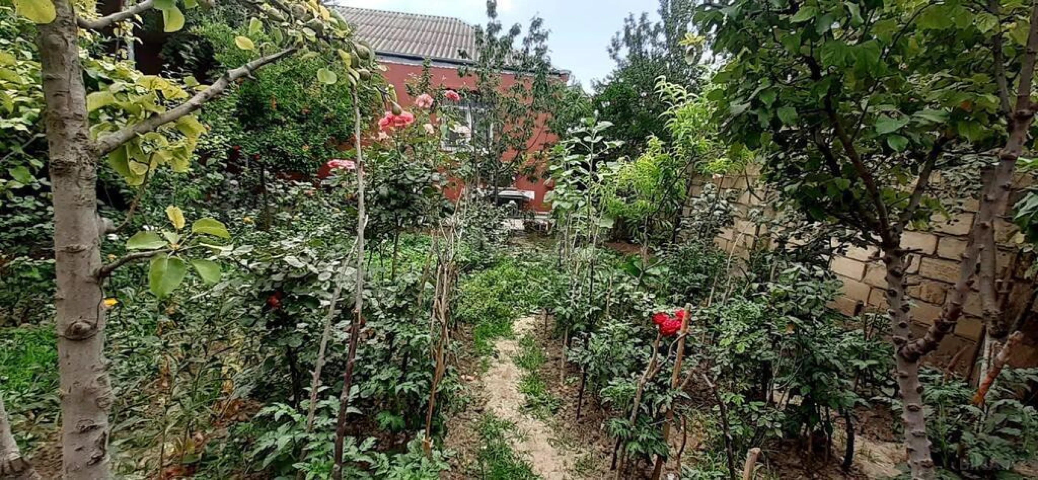 Satılır 4 otaqlı həyət evi 120 m²