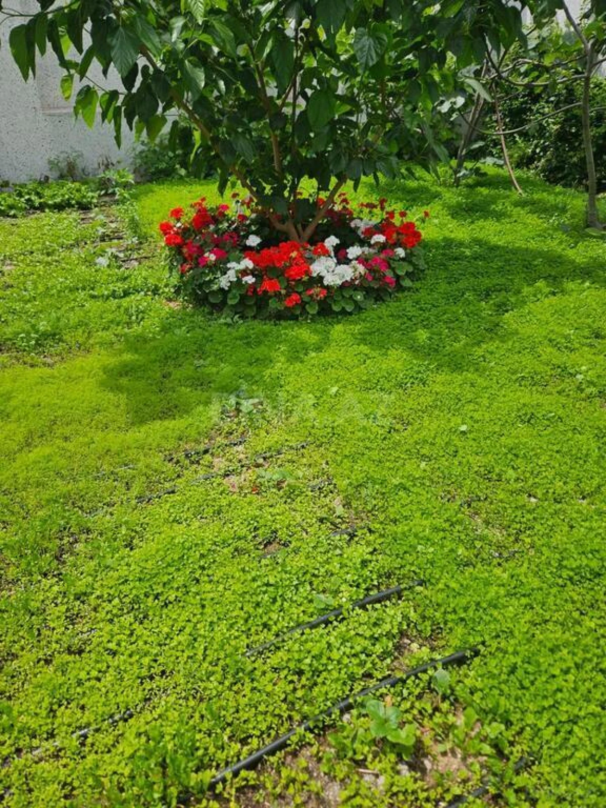 Kirayə verilir 4 otaqlı həyət evi 200 m²