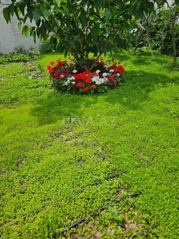 Kirayə verilir 4 otaqlı həyət evi 200 m²