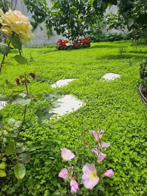 Kirayə verilir 4 otaqlı həyət evi 200 m²