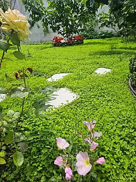 Kirayə verilir 4 otaqlı həyət evi 200 m²