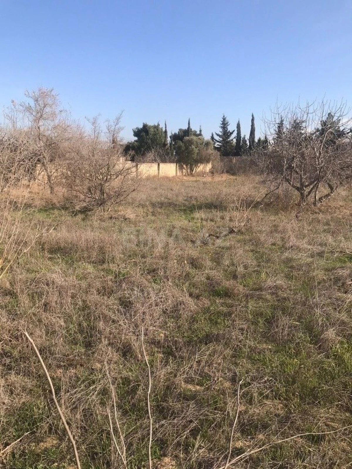 Satılır torpaq sahəsi 32 m²