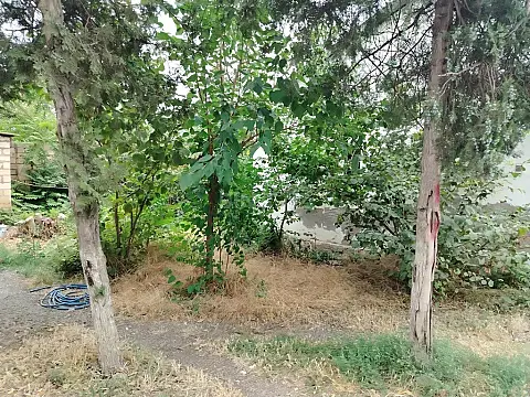 Satılır obyekt 1729 m²