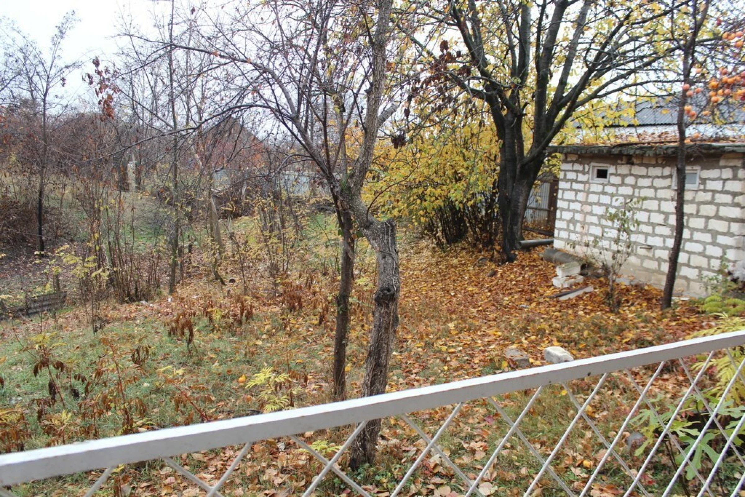 Kirayə verilir 2 otaqlı həyət evi 52 m²