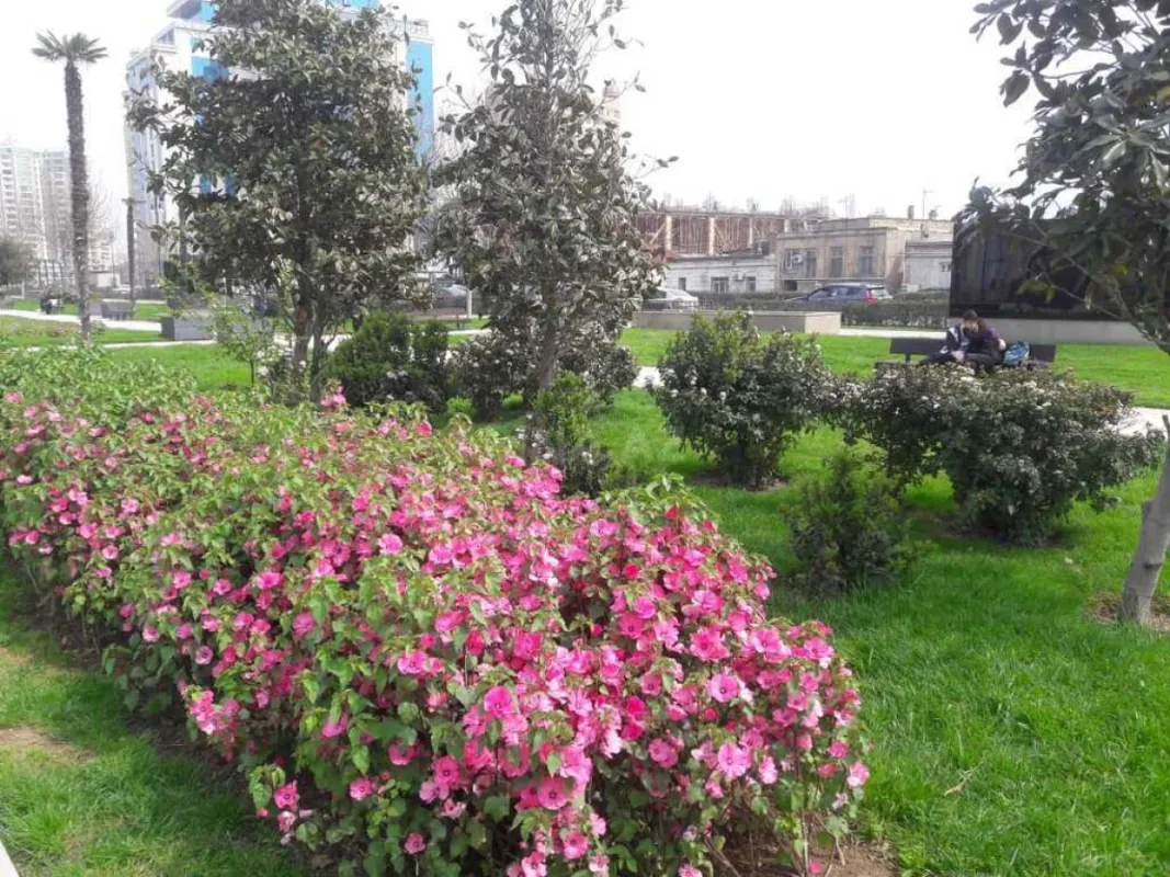 Satılır 3 otaqlı mənzil 189 m²