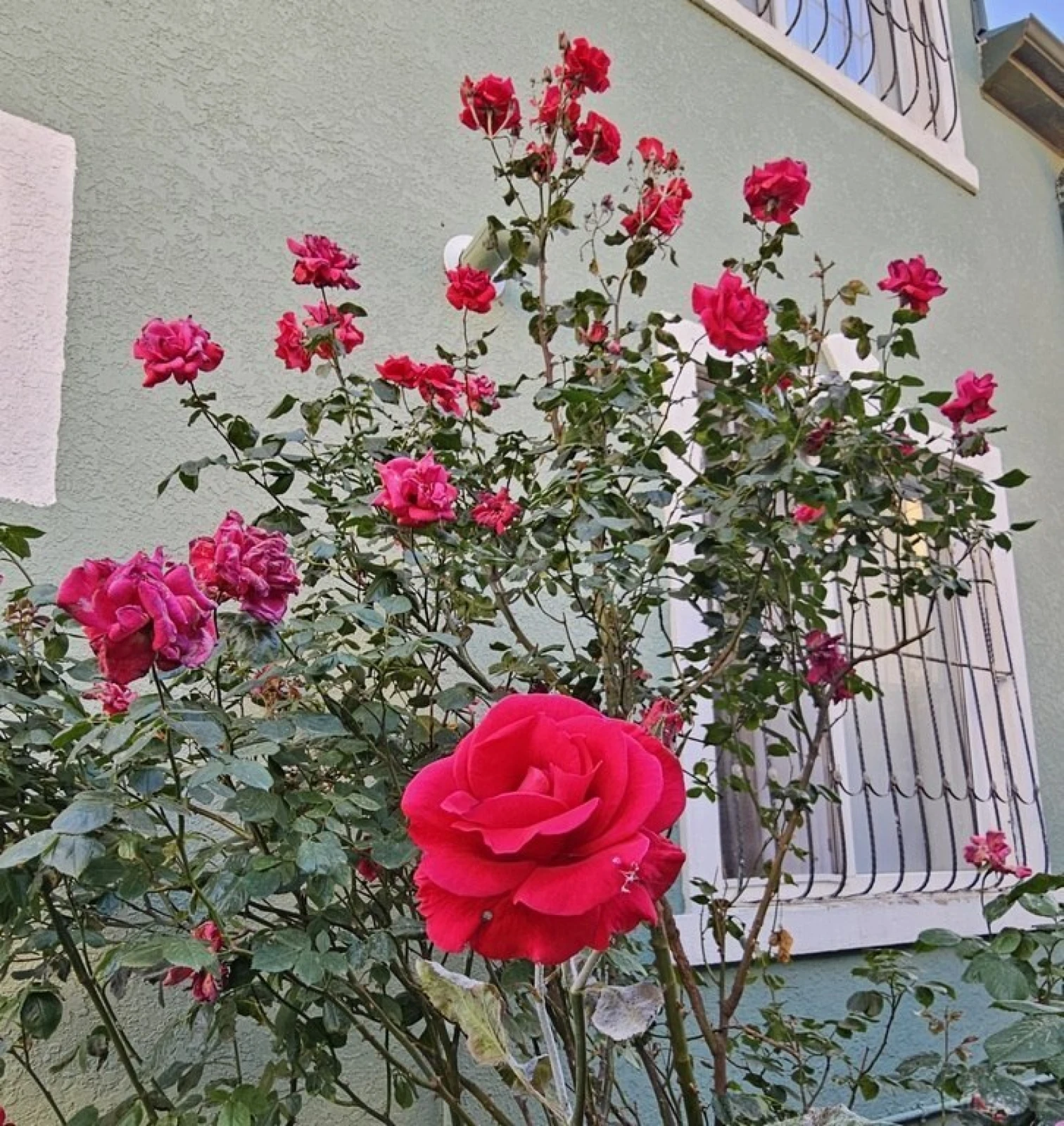 Satılır 6 otaqlı həyət evi 200 m²