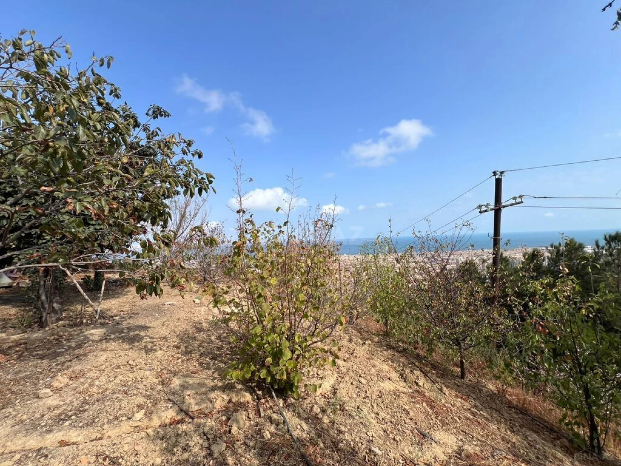 Satılır torpaq sahəsi 17 m²