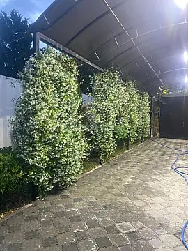 Satılır 3 otaqlı həyət evi 125 m²