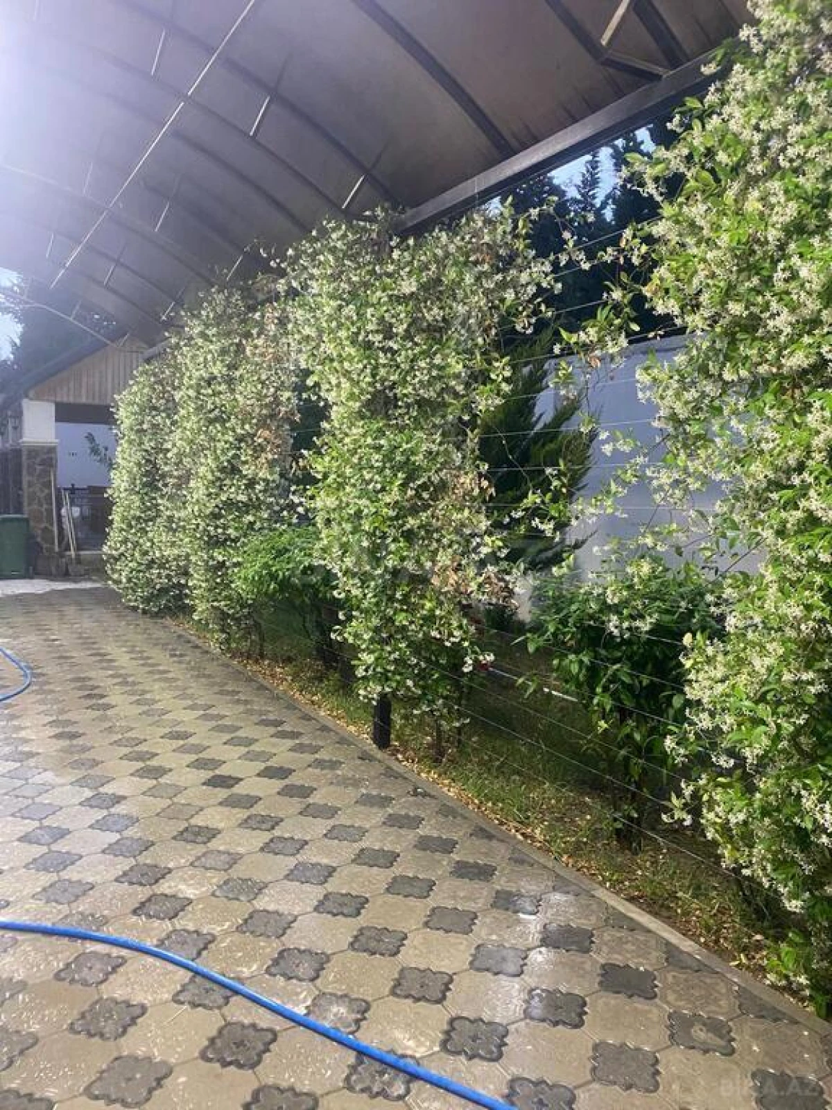 Satılır 3 otaqlı həyət evi 125 m²