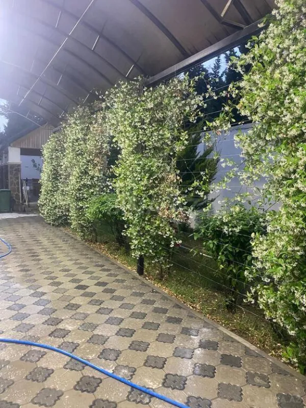 Satılır 3 otaqlı həyət evi 125 m²