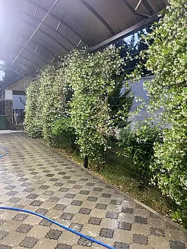 Satılır 3 otaqlı həyət evi 125 m²