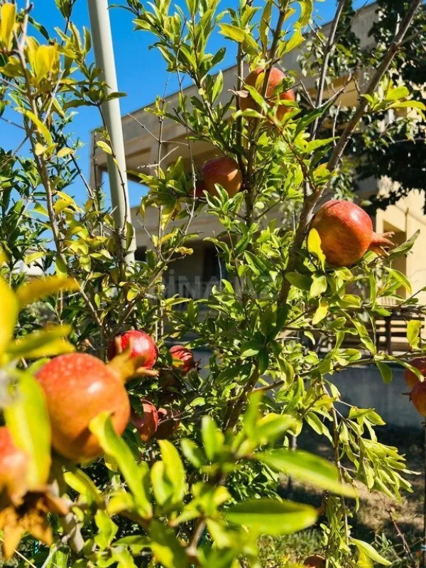 Satılır 6 otaqlı həyət evi 430 m²