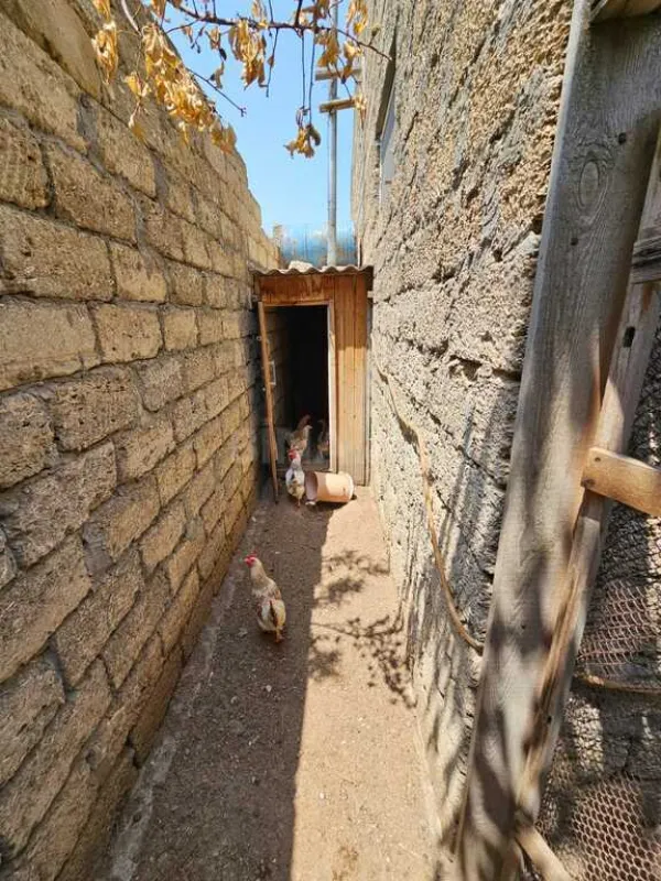 Satılır 3 otaqlı həyət evi 90 m²