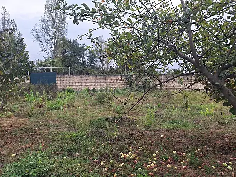 Satılır torpaq sahəsi 33 m² — Qəbələ 33.00 m²