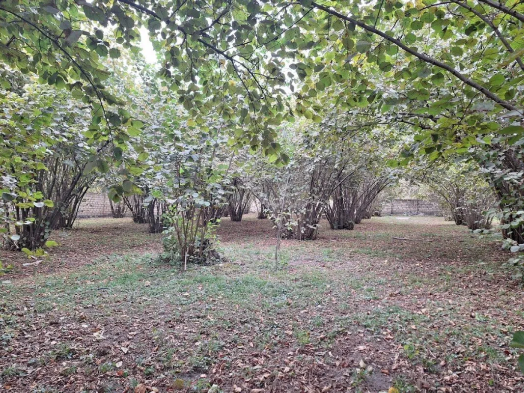 Satılır torpaq sahəsi 33 m²