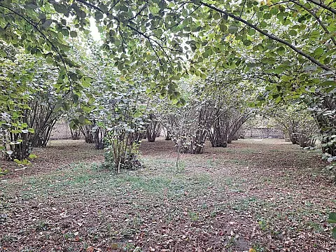 Satılır torpaq sahəsi 33 m²