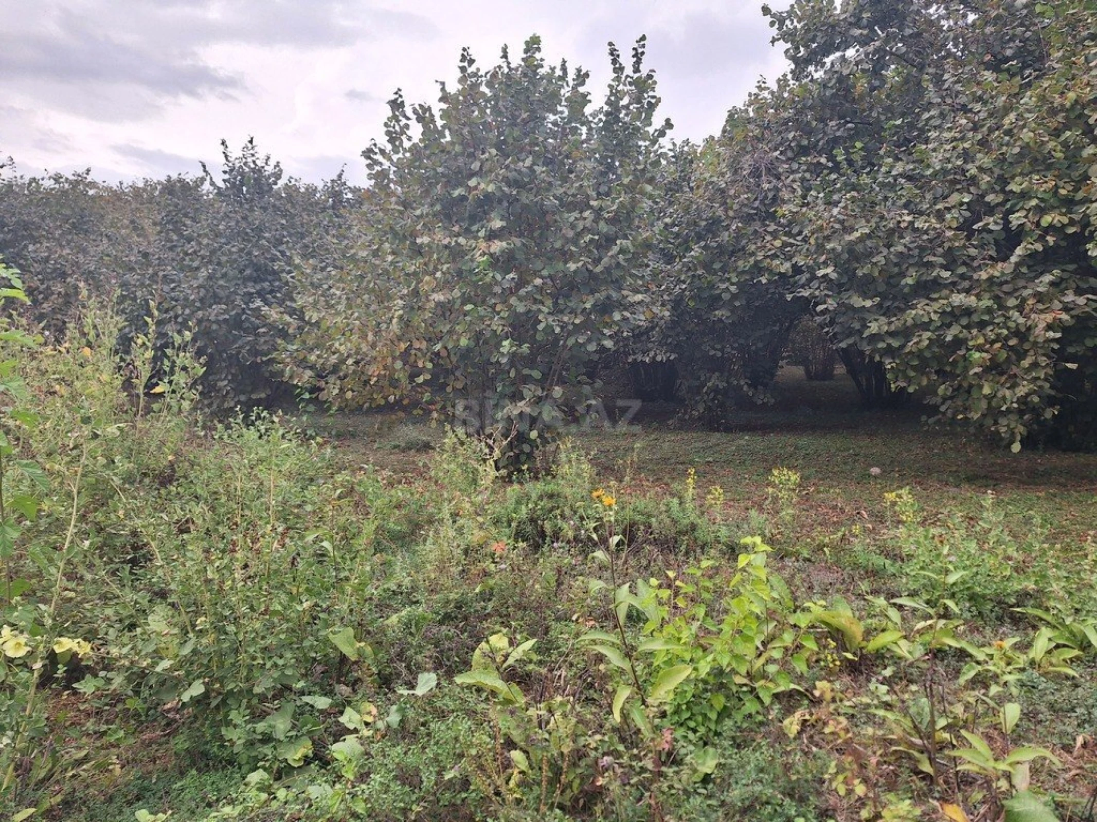 Satılır torpaq sahəsi 33 m²