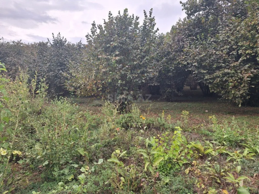 Satılır torpaq sahəsi 33 m²