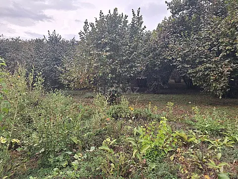 Satılır torpaq sahəsi 33 m²