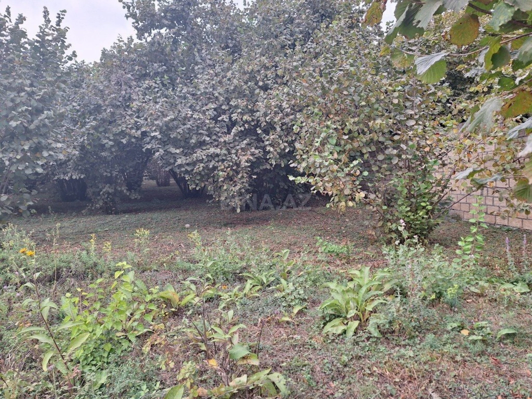 Satılır torpaq sahəsi 33 m²