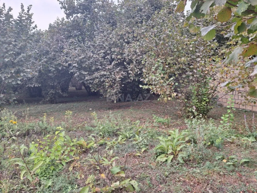 Satılır torpaq sahəsi 33 m²