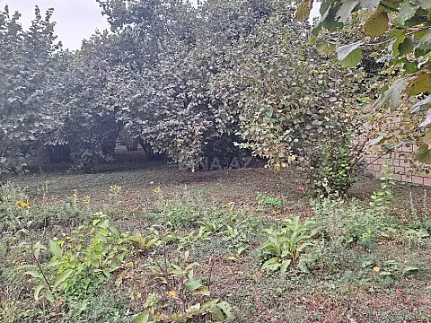 Satılır torpaq sahəsi 33 m²