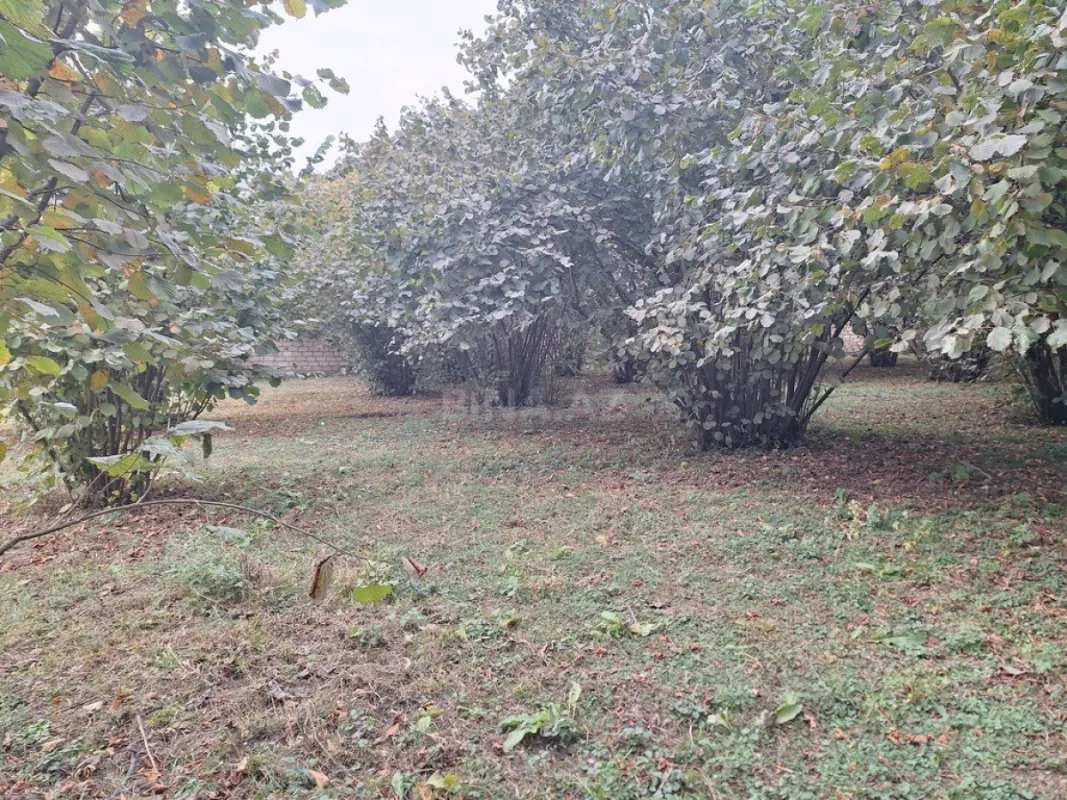 Satılır torpaq sahəsi 33 m²