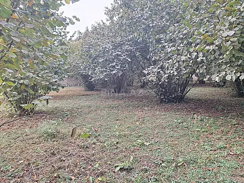 Satılır torpaq sahəsi 33 m²