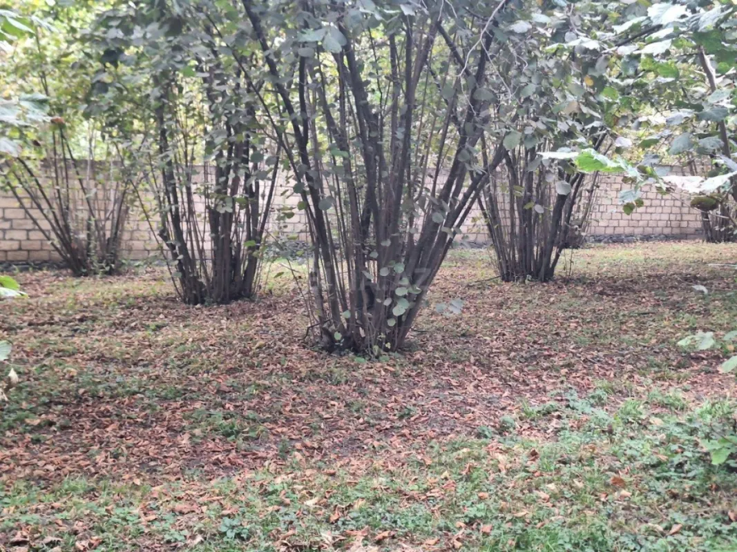 Satılır torpaq sahəsi 33 m²