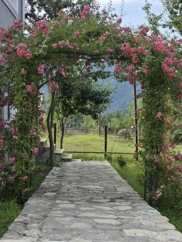 Satılır obyekt 560 m²