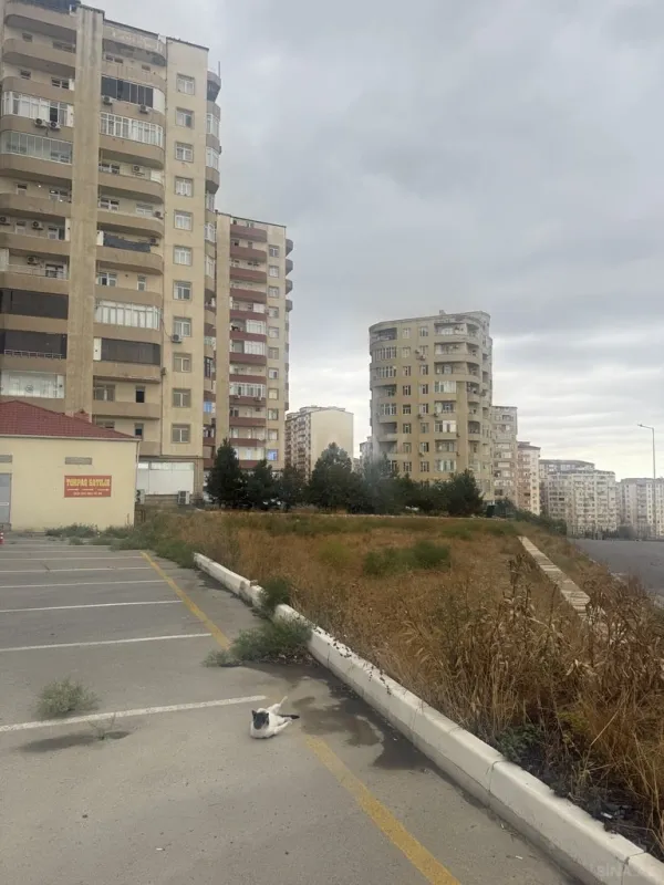 Satılır torpaq sahəsi 8 m²