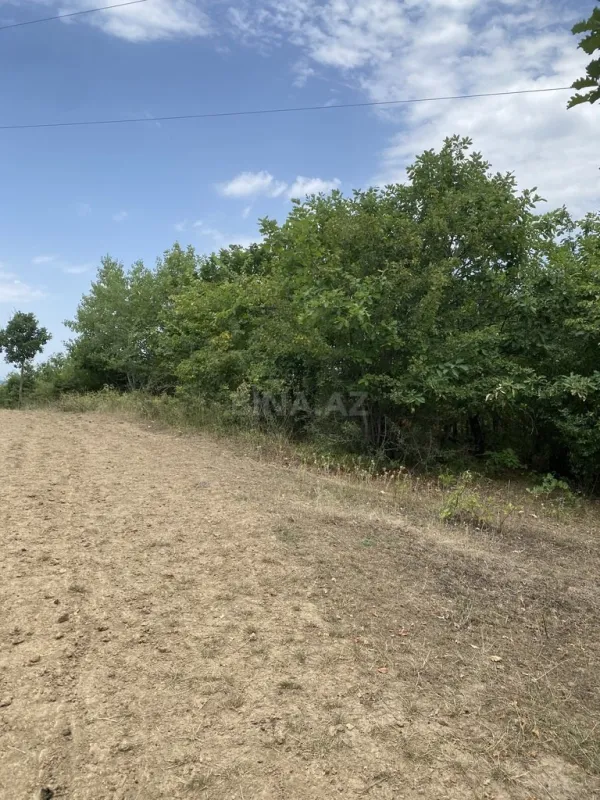 Satılır torpaq sahəsi 100 m²