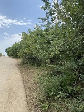 Satılır torpaq sahəsi 100 m²