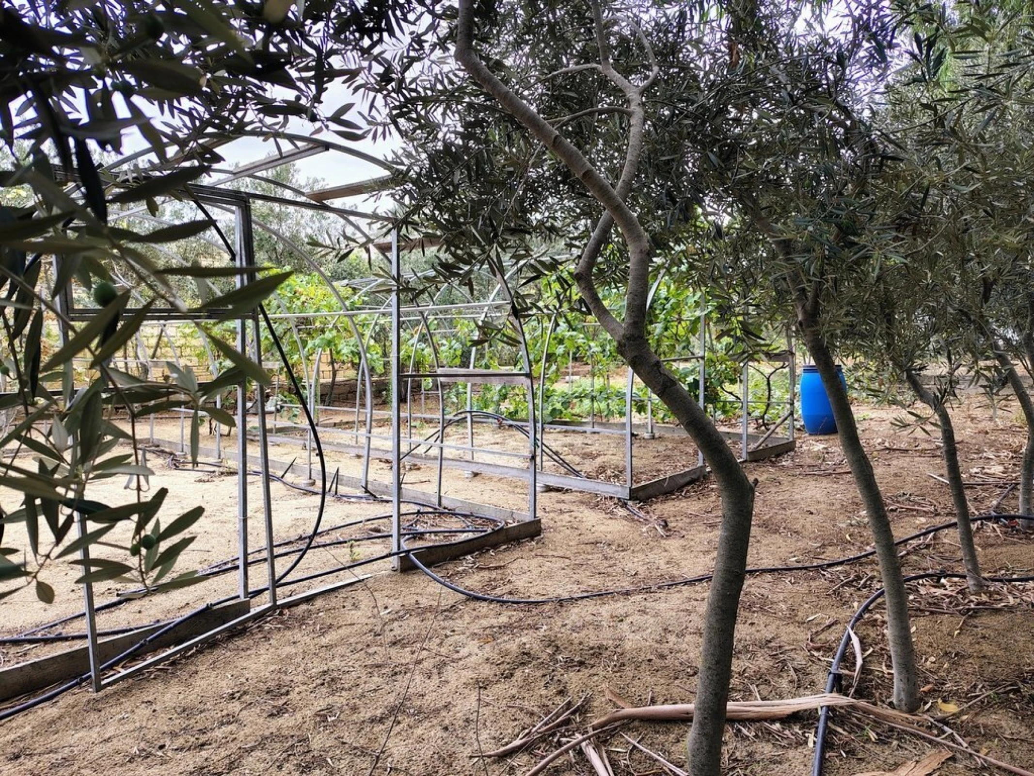 Satılır 11 otaqlı həyət evi 170 m²