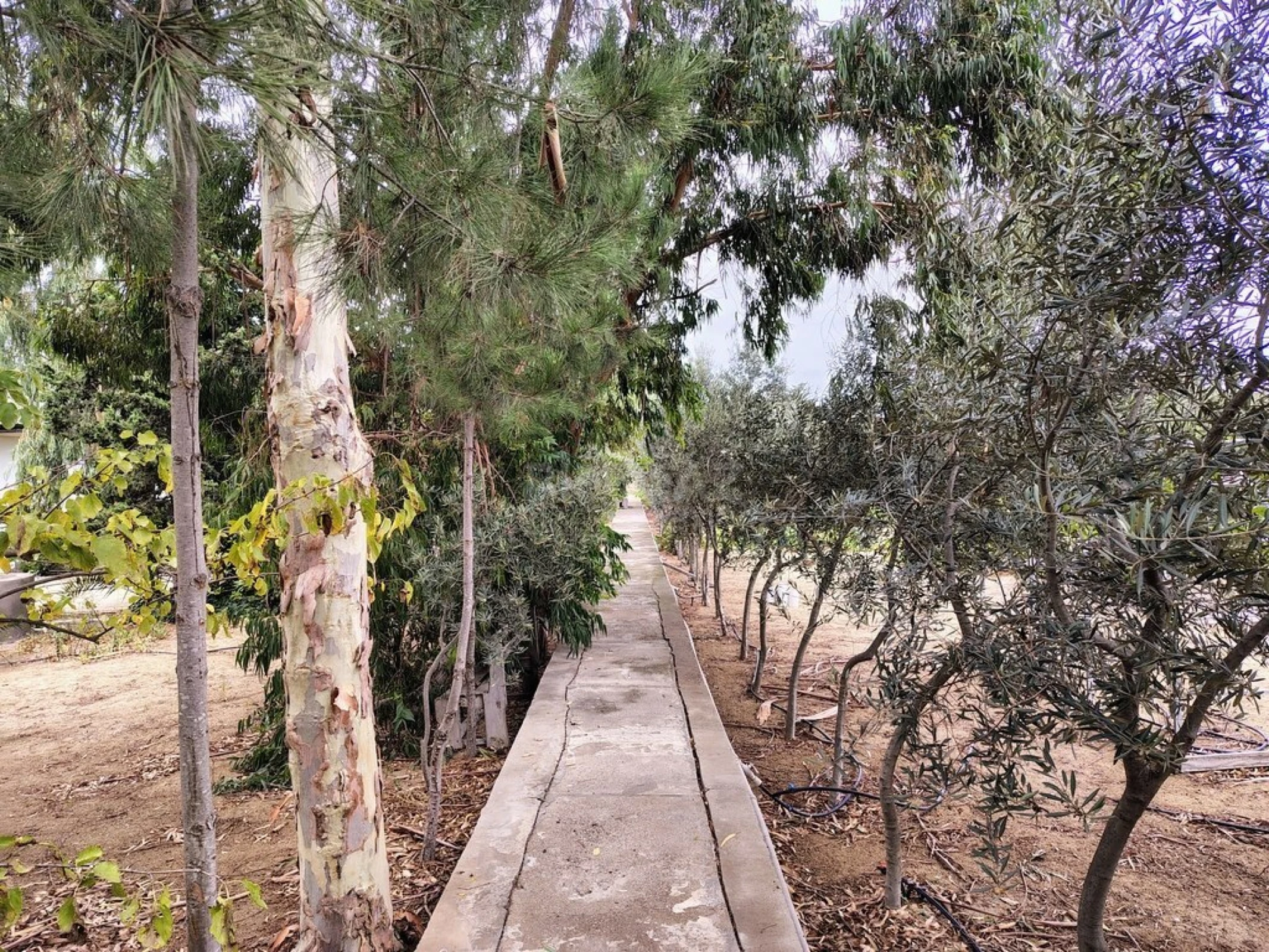 Satılır 11 otaqlı həyət evi 170 m²