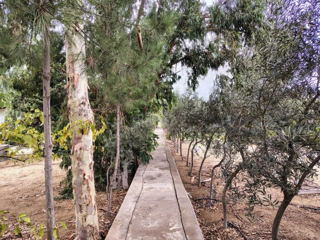 Satılır 11 otaqlı həyət evi 170 m²