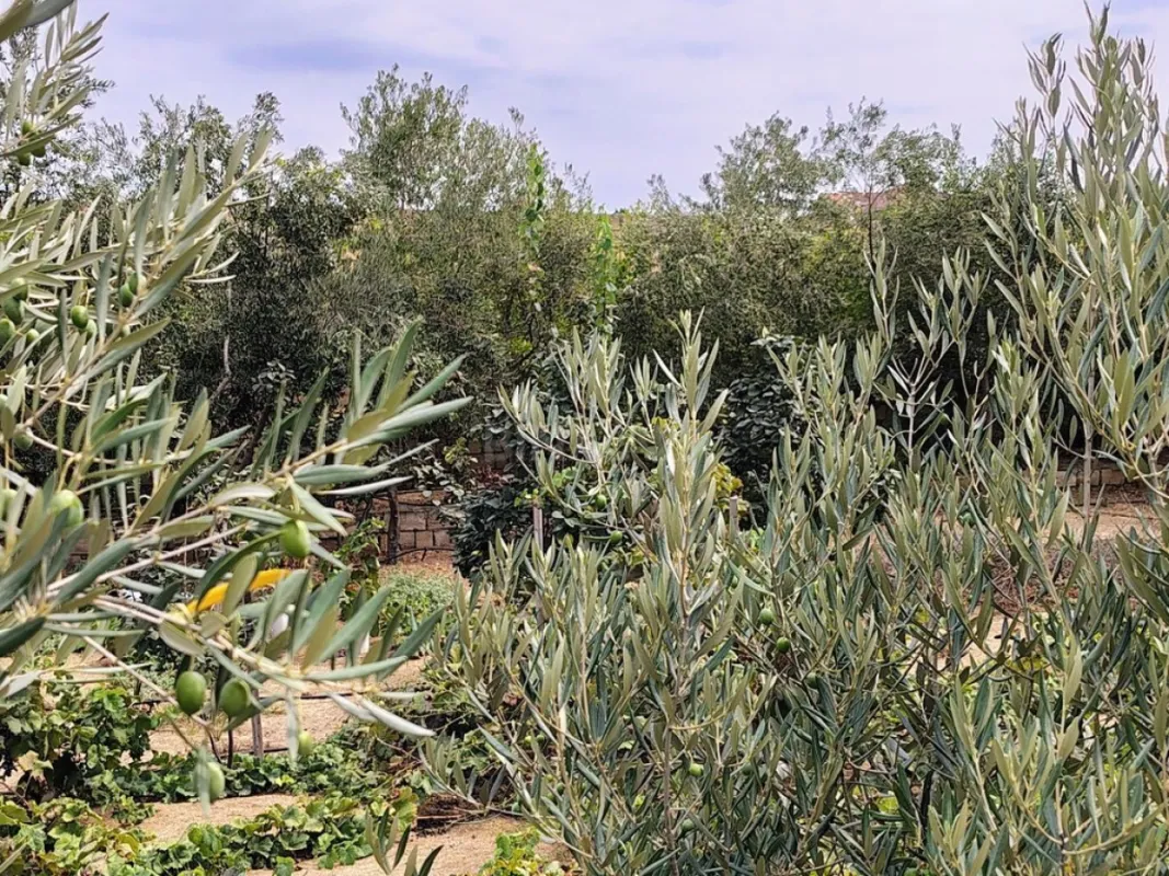 Satılır 11 otaqlı həyət evi 170 m²