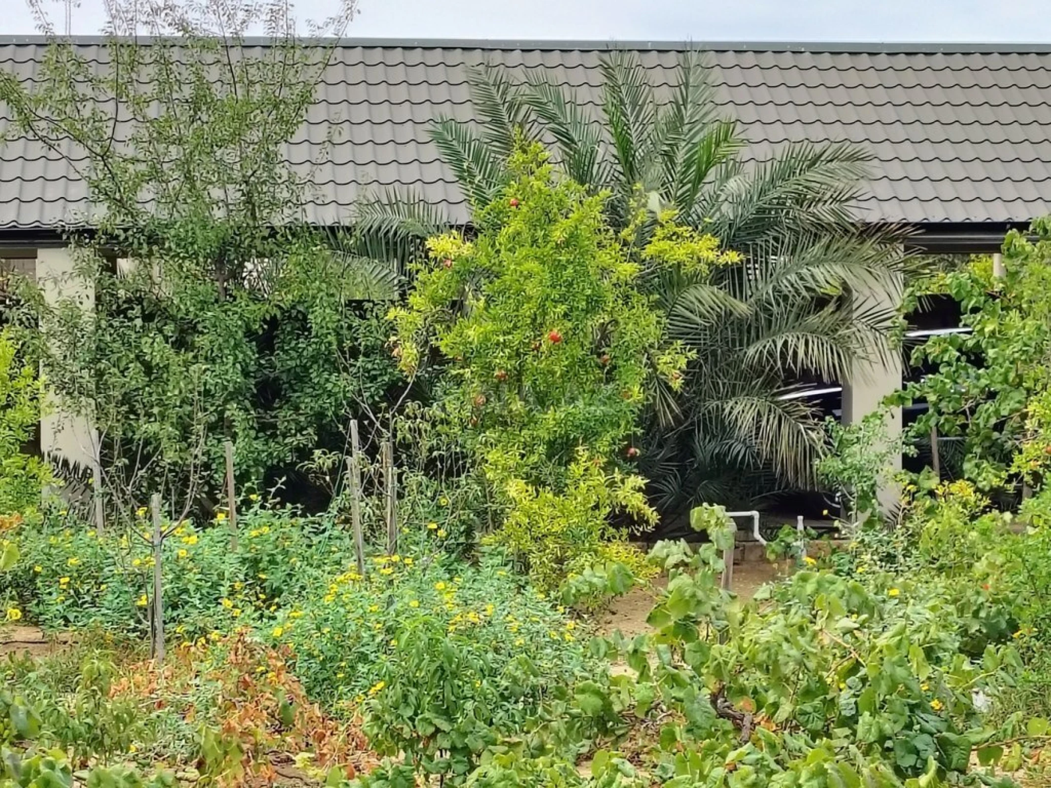 Satılır 11 otaqlı həyət evi 170 m²