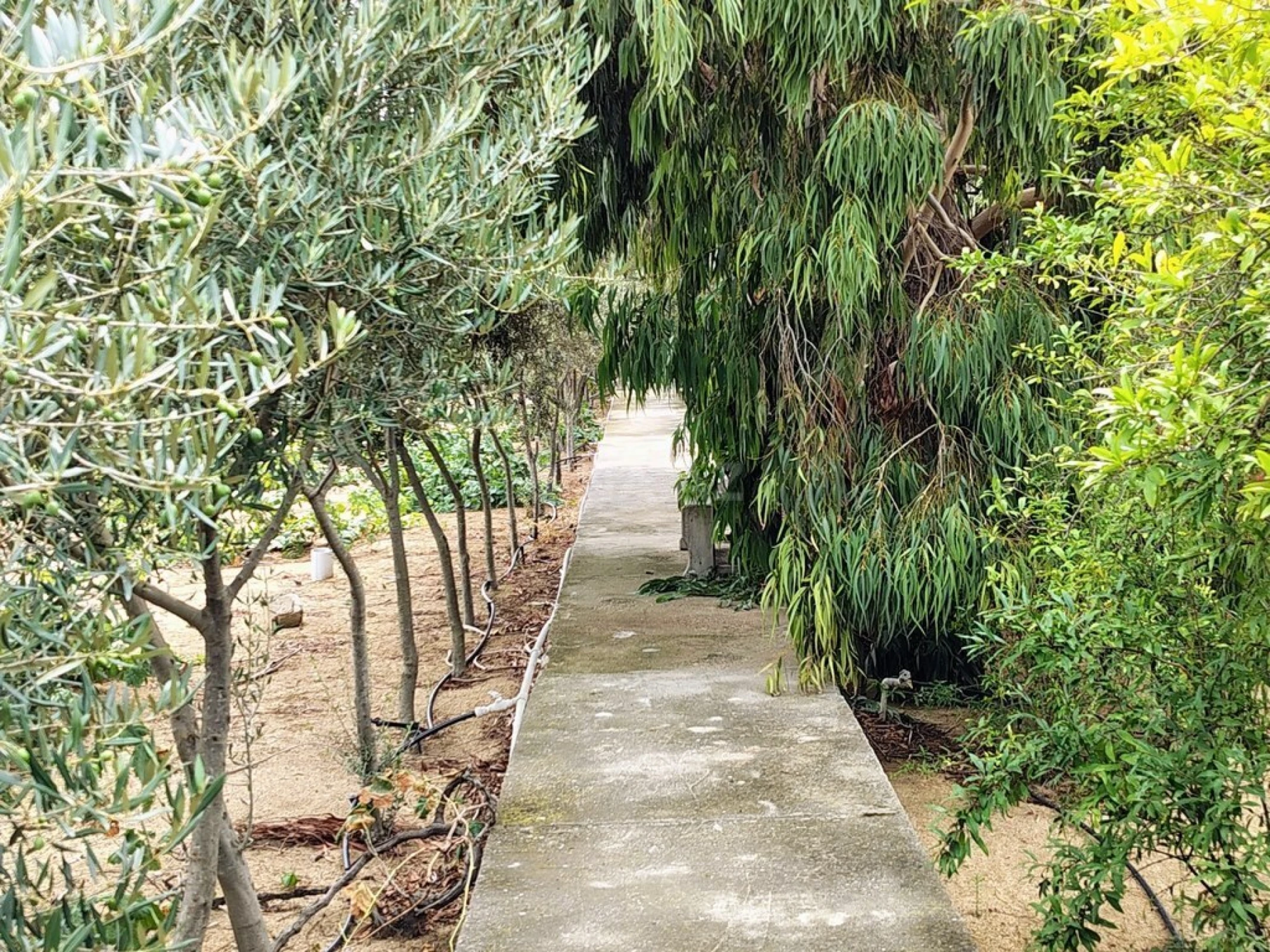 Satılır 11 otaqlı həyət evi 170 m²