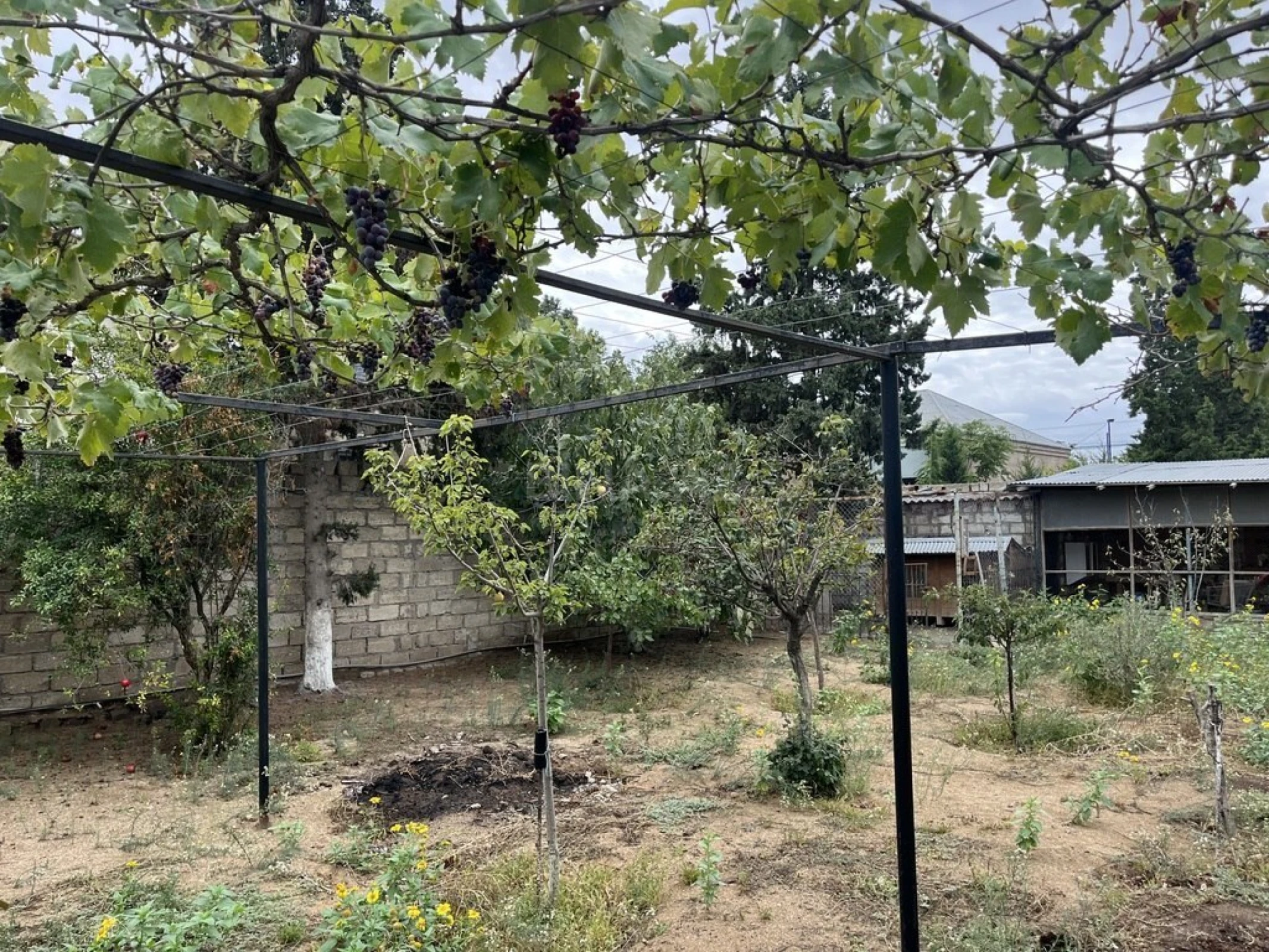 Satılır torpaq sahəsi 10 m²