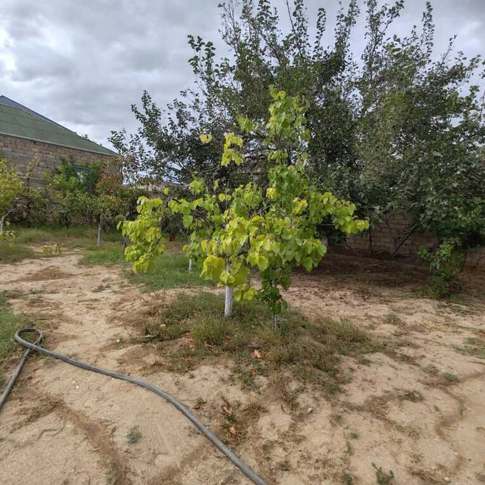 Satılır torpaq sahəsi 10 m²