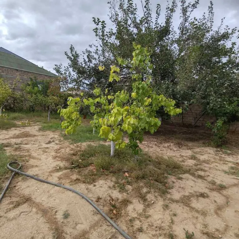 Satılır torpaq sahəsi 10 m²