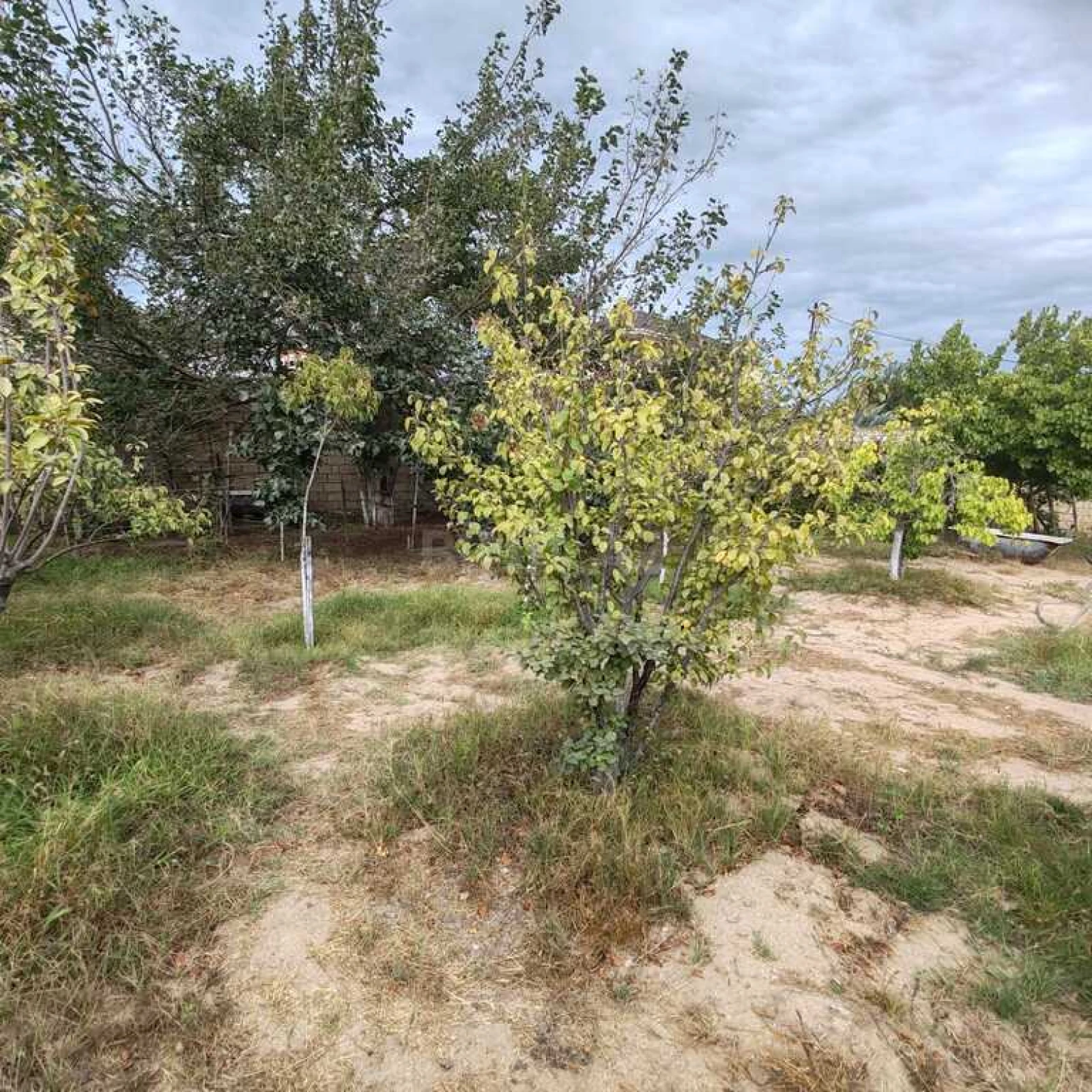 Satılır torpaq sahəsi 10 m²