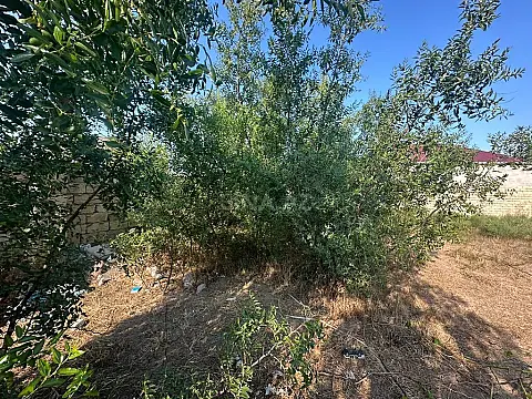 Satılır torpaq sahəsi 11 m²