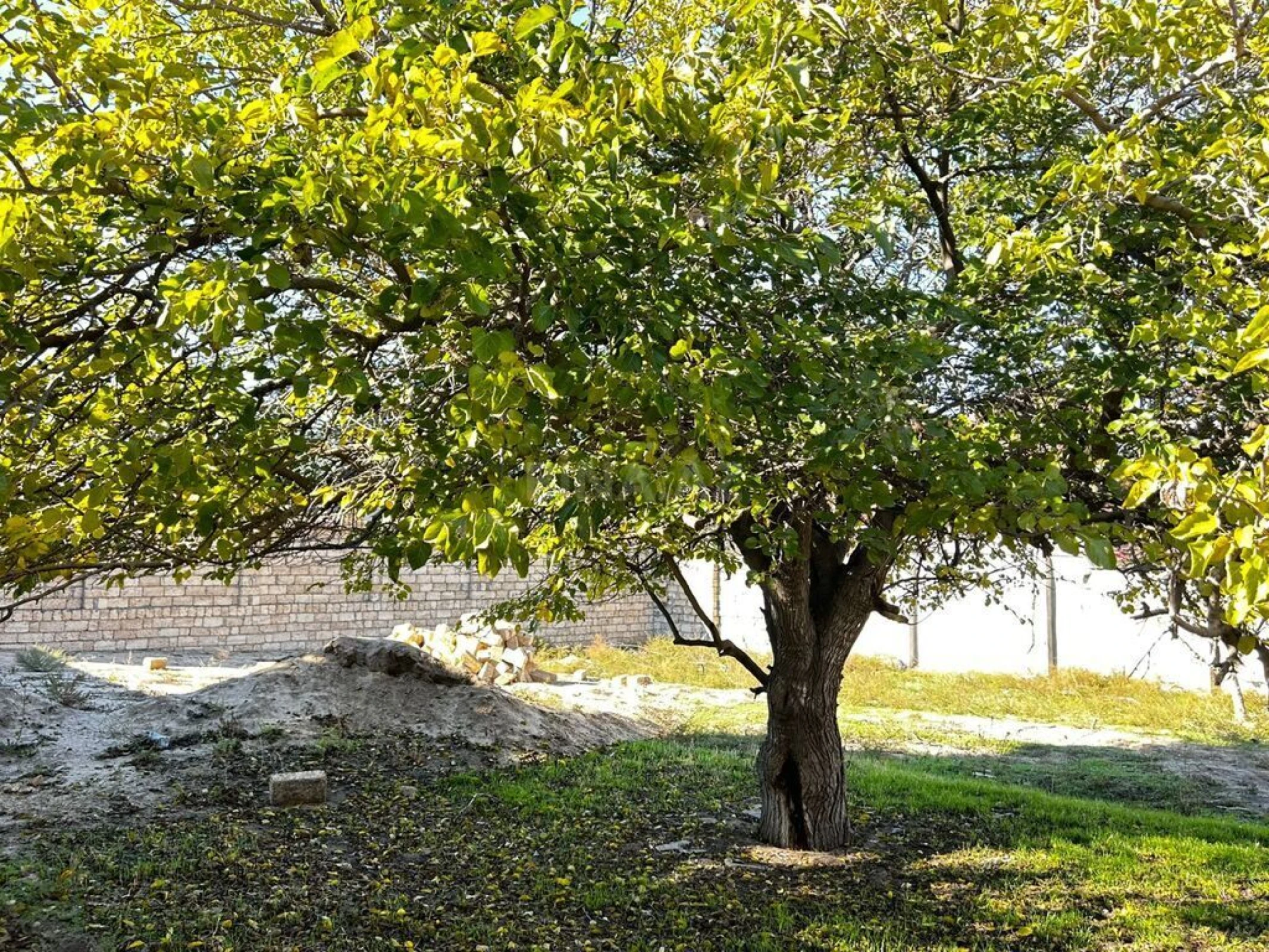 Satılır torpaq sahəsi 7 m²