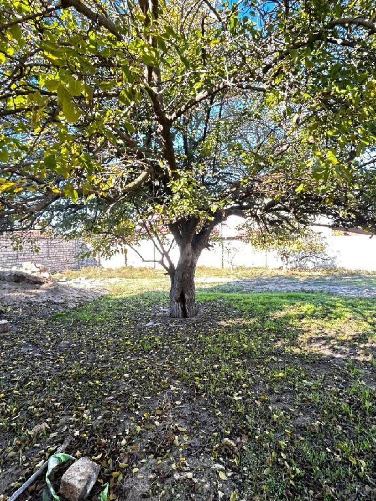 Satılır torpaq sahəsi 7 m²