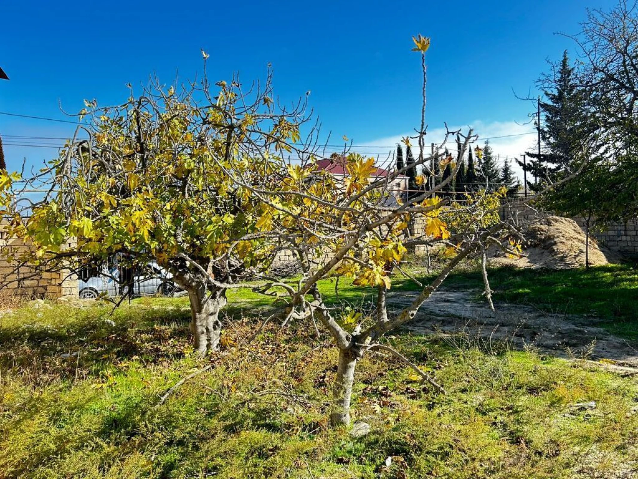 Satılır torpaq sahəsi 7 m²