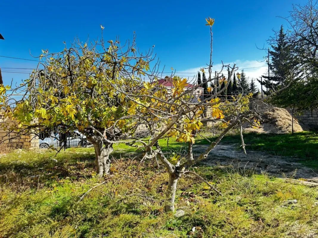 Satılır torpaq sahəsi 7 m²